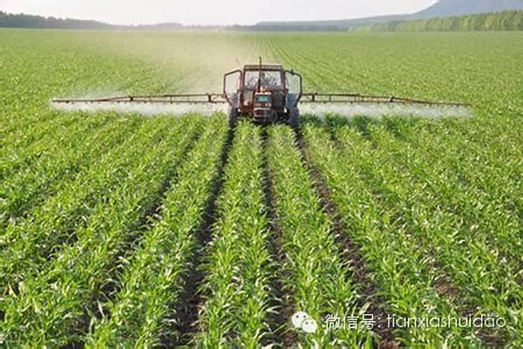 什么花肥适合各种花草  什么花肥所有植物通用