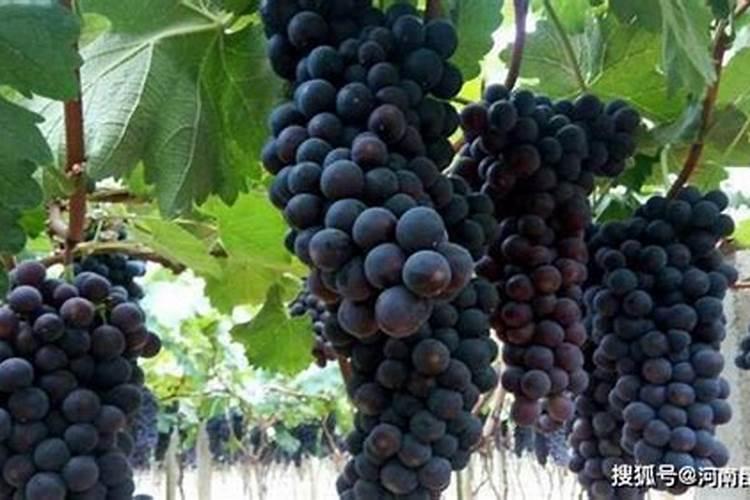 怎么查病退人员名单我查一下我的病退办理下来了没有,河北省保定市...