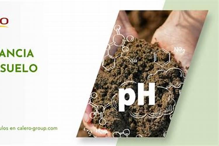 想要拿到登记证,这些大量元素水溶肥料检测指标要达到