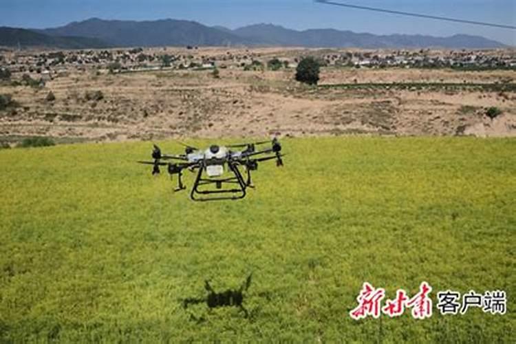 蓬莱渔家乐哪家好？