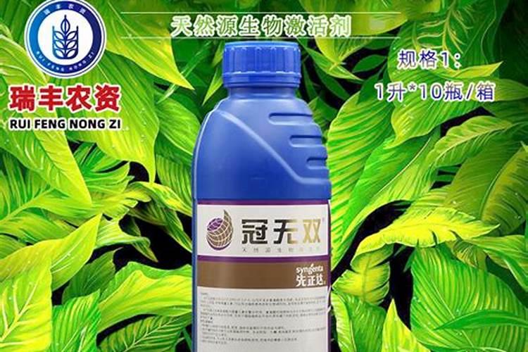 马铃薯延薯4盛花期用喷矮壮素吗