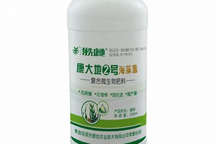 大地能源的油怎么样