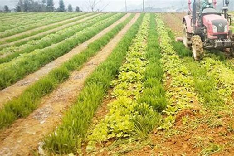 3万立方水能灌溉多少地