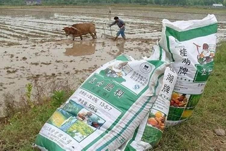肥料有哪十种类型 农业生产使用的十类肥料大全