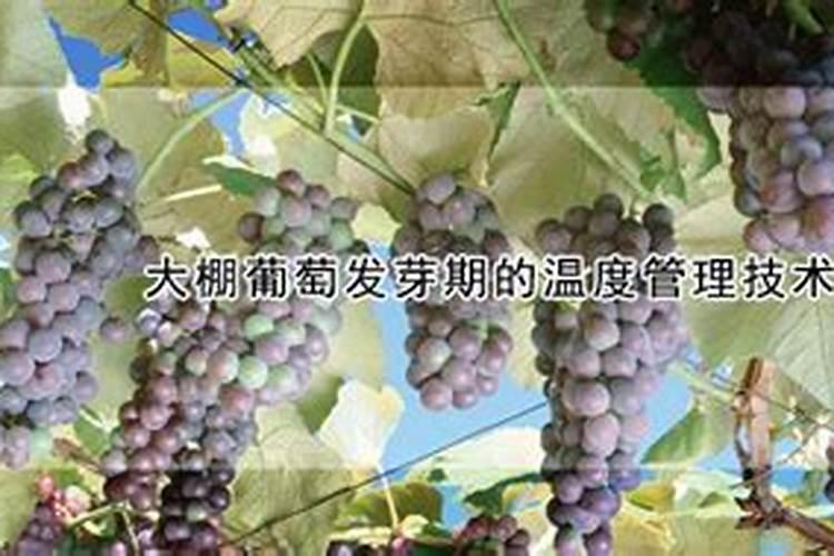 矿源黄腐酸使用大忌