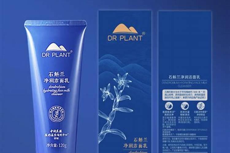 石斛花能放在室内吗