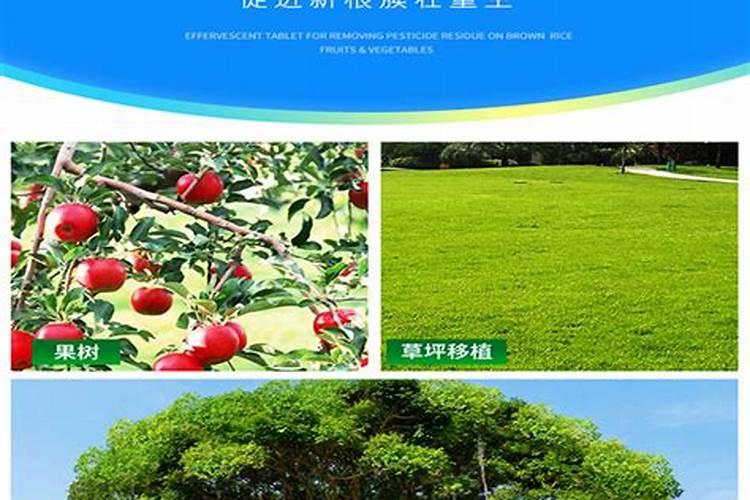 苏蒙肥业是杂牌子还是名牌