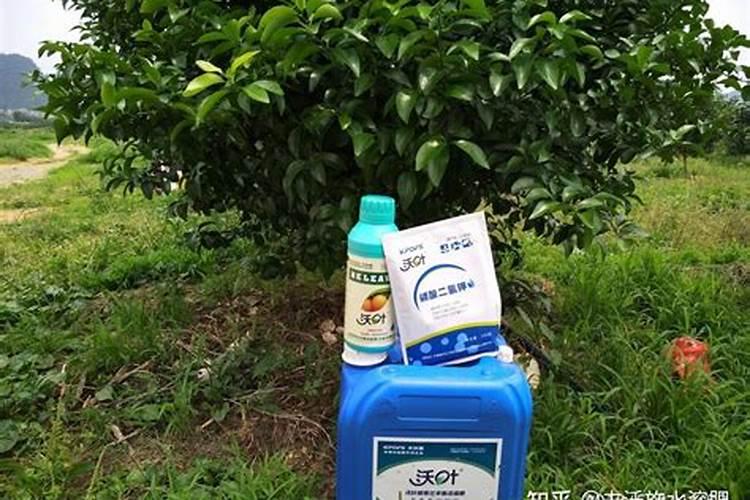 柑橘施肥时间表