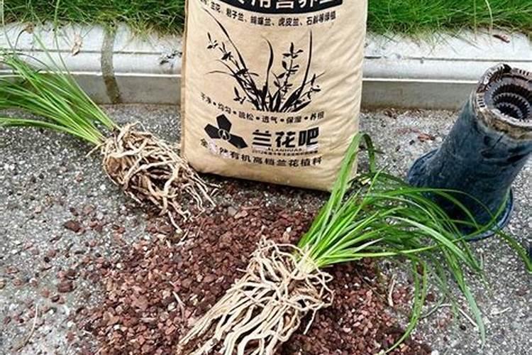 兰花用复合肥的使用方法 兰花用复合肥好吗