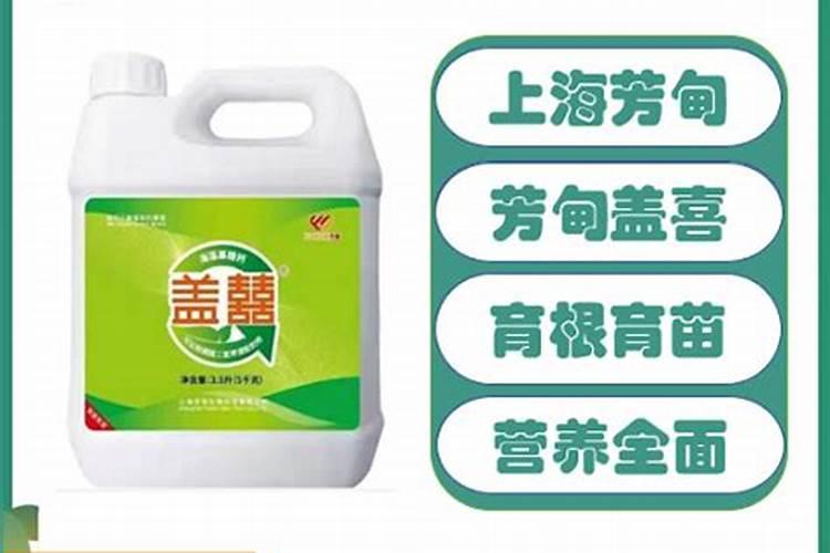 现在草莓用什么肥最好