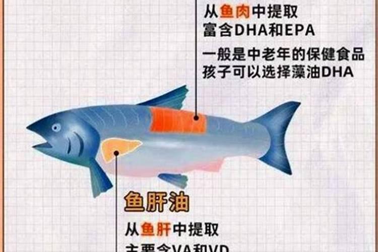 鱼油和鱼蛋白哪种做肥料好