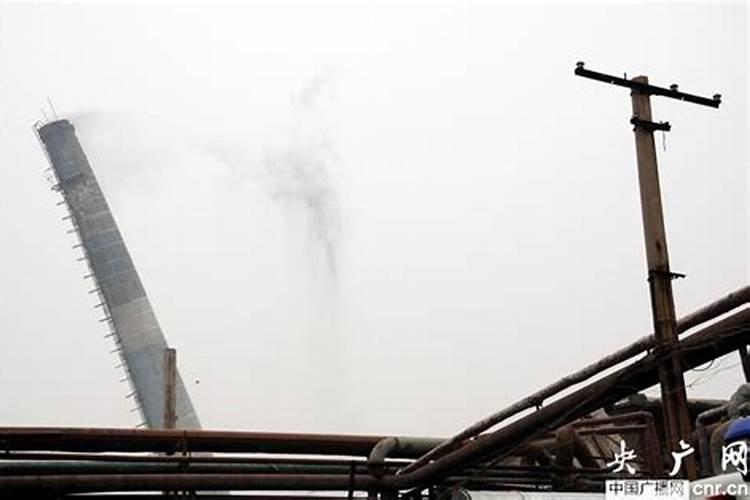 朋友您好苹果树用什么肥料最好