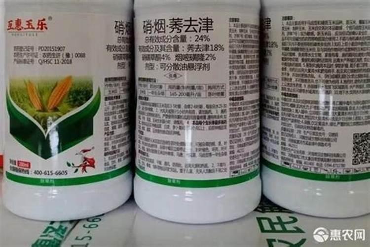 要想种植好形状的红薯,应该怎么去种植？