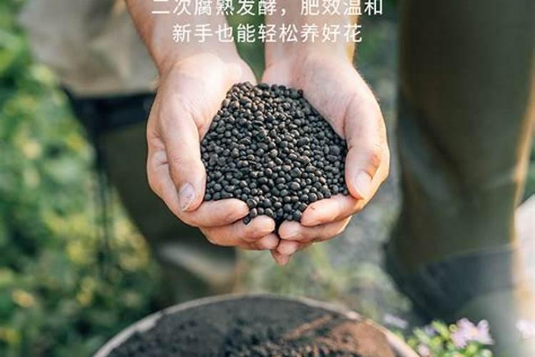 鞍山采摘园哪里好