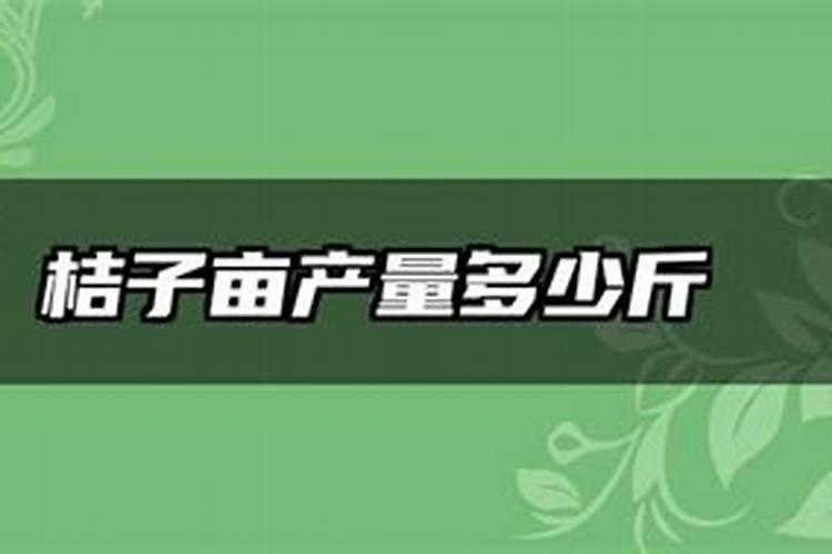 桔子树怎么养护和施肥