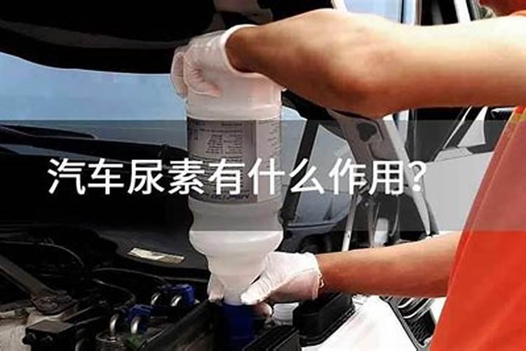 硝酸磷肥和尿素哪个好