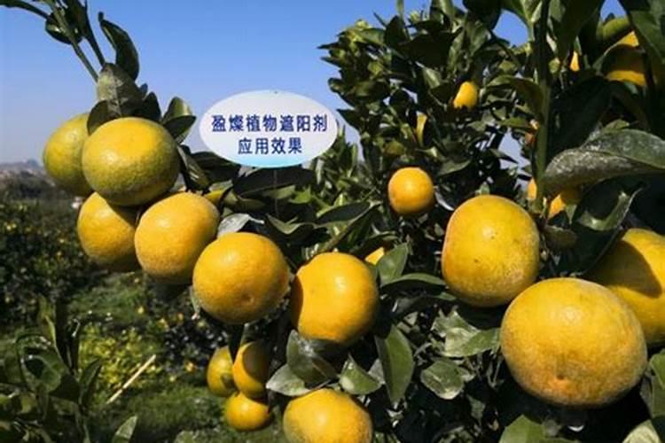 大豆专用肥是什么肥料？大豆抗病增产增收叶面喷什么好？