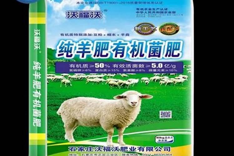 冬季油菜也要做好追肥工作,具体应该怎么做呢？