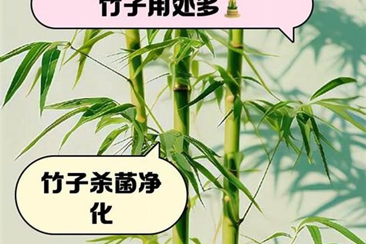 硅钙镁锌铁棚肥料的作用