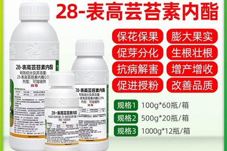芸苔素内酯效果与功能和使用方法,芸苔素内酯副效果