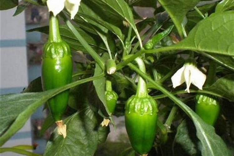 广东智能锁品牌厂家