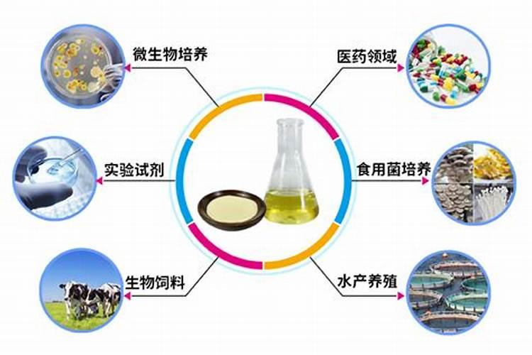 自制氮肥有哪些