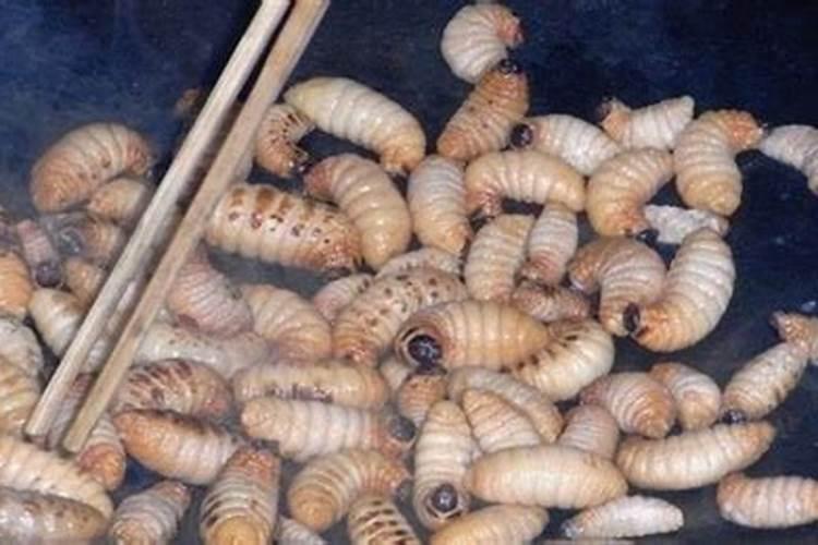 本翠大量元素水溶肥多少钱一吨