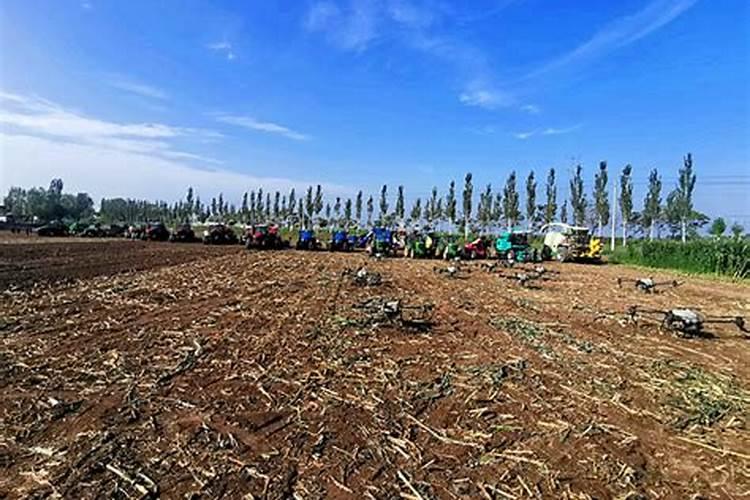 宁夏谷道香生物科技有限公司怎么样？