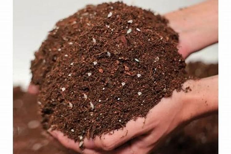 肥料放在地里会被太阳晒蒸发掉吗？