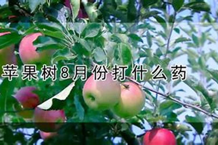 苹果树喷什么叶面肥好