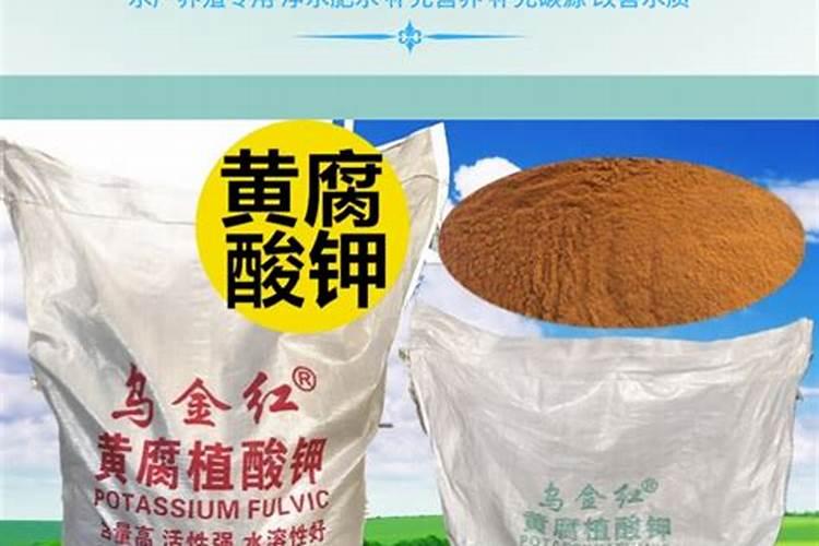 文竹浇什么肥料合适