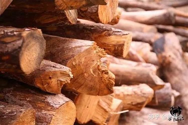 水稻用什么肥料最好