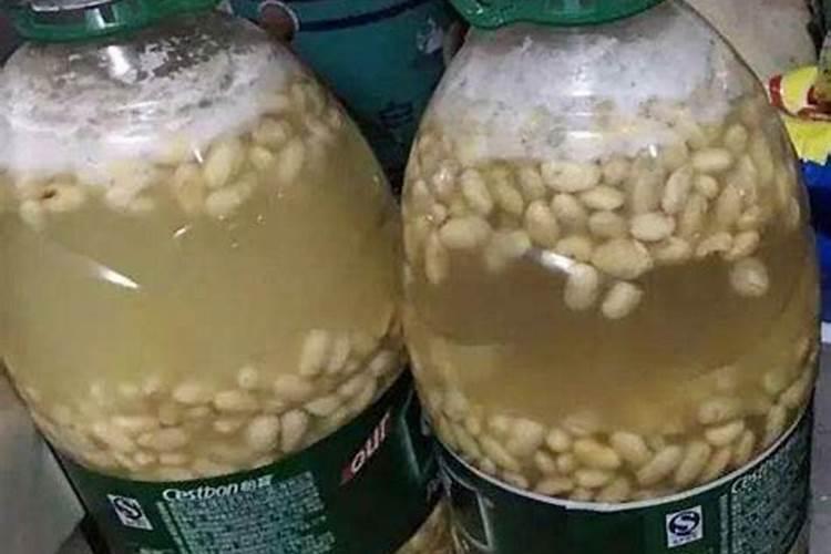 磷酸二氢钾和花多多2号哪个好