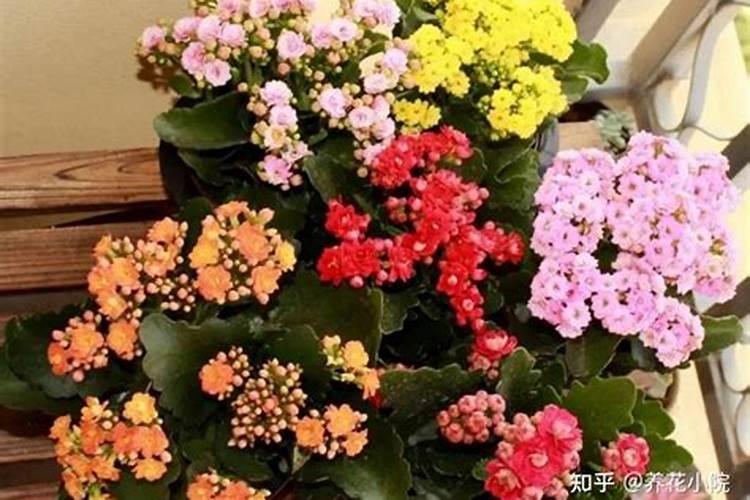 雨水氮磷钾含量