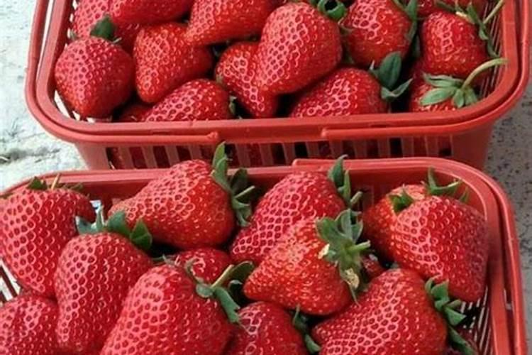 纯钾肥的含钾最高多少 含K2O50%52%左右