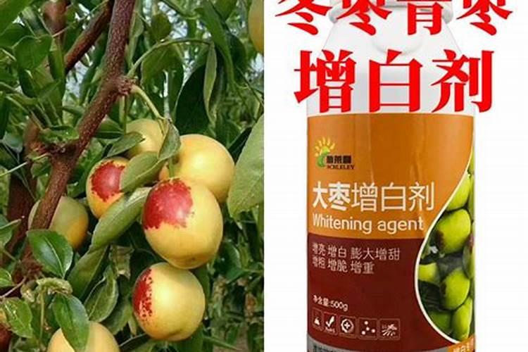 大青枣膨果期喷氨基酸水溶肥可以吗