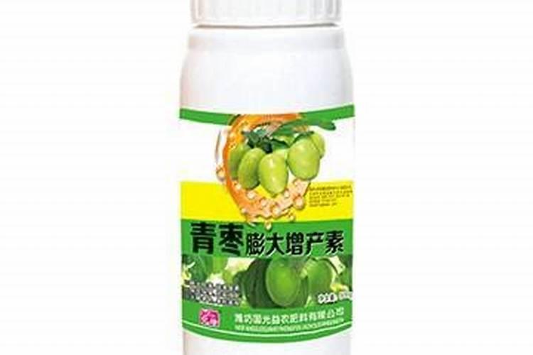 冬季青枣开花坐果可以喷点什么？