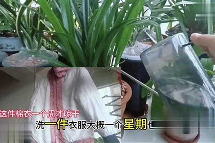 种草莓施什么肥才甜