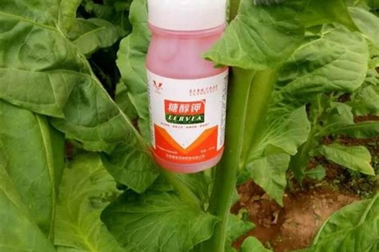 哪个牌子的叶面肥效果最好。