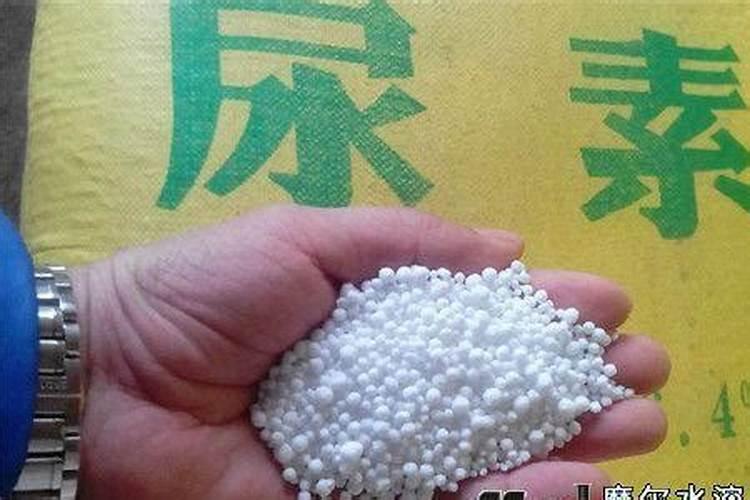 有机氮肥有哪几种 有机氮肥的制作方法