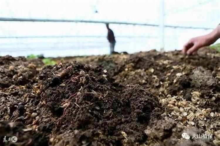 有机肥为植物提供什么