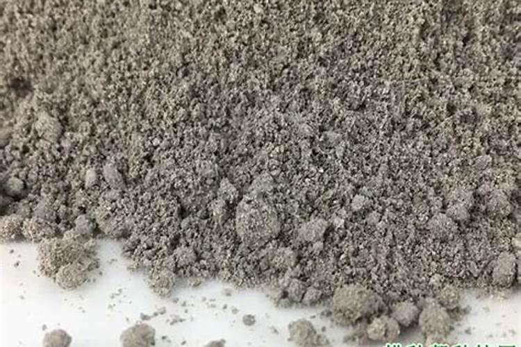 家庭养花,花盆里埋点小东西,就能让它多开花,你知道吗？