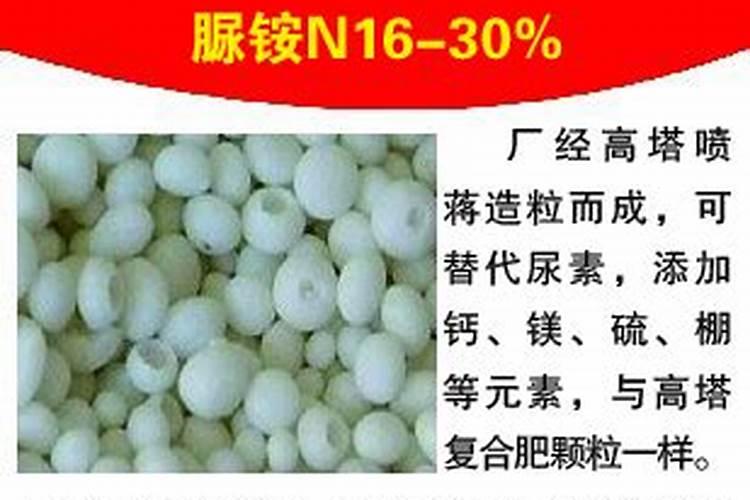 如何施用硼肥？