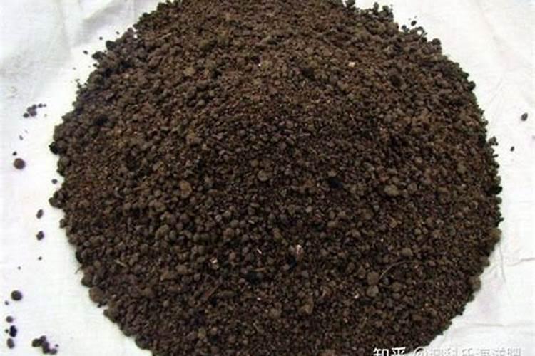 小麦越冬期使用芸苔素的时间