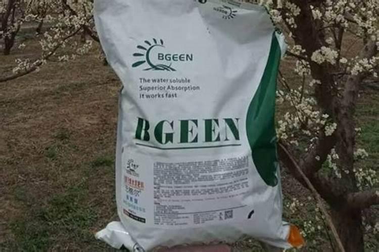 种植大白菜刚出苗应该打什么药好？