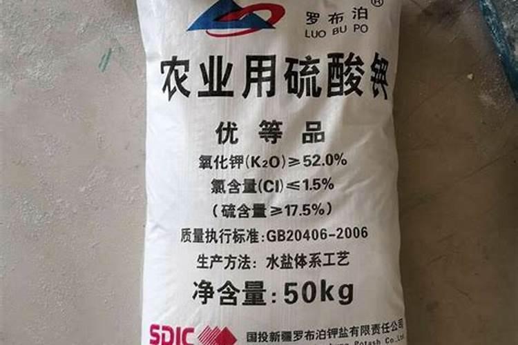 土豆种植后期怎样管理