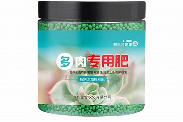 养了一年墨兰为什么没开花怎样才能开花？