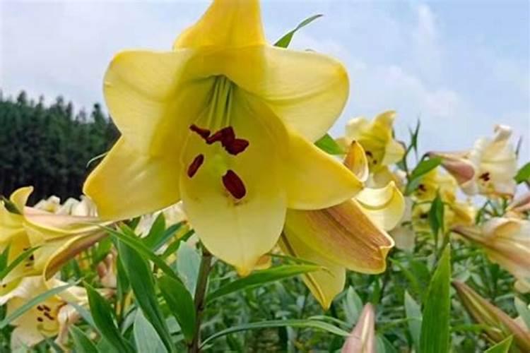 2021年磷复肥会议在南昌绿地国际博览中心举办吗？