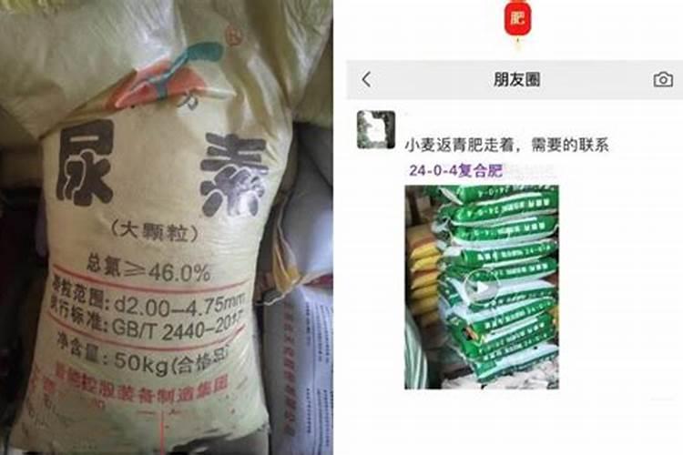 钙镁磷肥钙镁磷肥是由什么制成的
