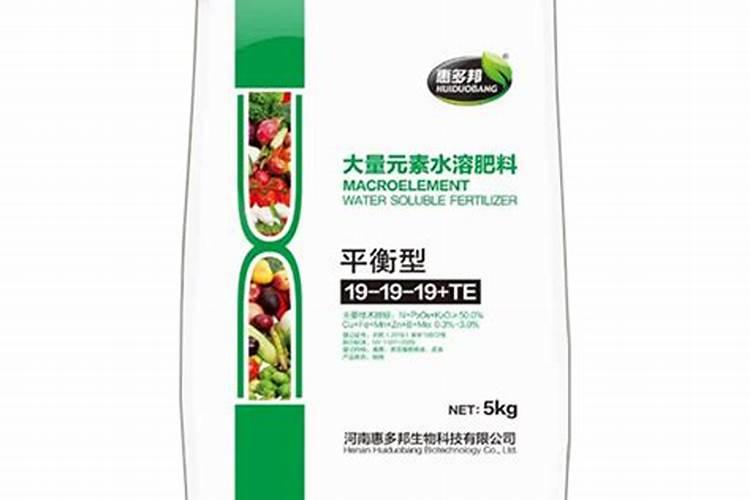 芋头是红薯还是土豆